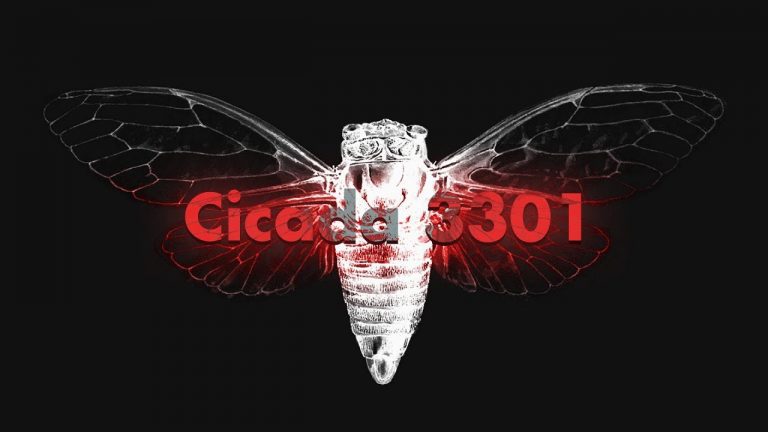 Cicada 3301: an Enduring Mystery Over the Years