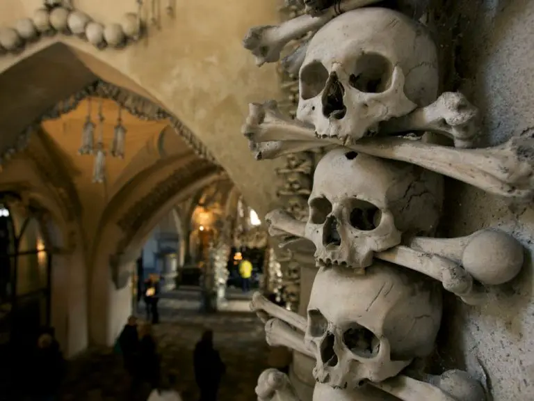 Saint Bavo’s Cathedral in Belgium: Revelation of Walls of Human Bones